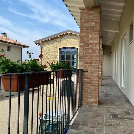 Fuoridicampo Rossa Roncovetro