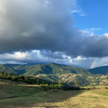 Fuoridicampo Rossa Roncovetro