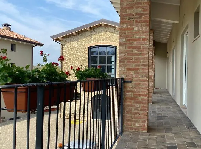 Fuoridicampo Rossa Roncovetro