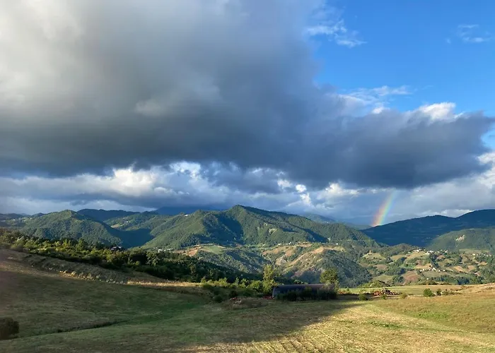 Fuoridicampo Rossa Roncovetro